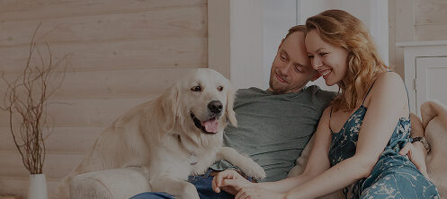 Happy couple petting their golden retriever in Tampa, FL