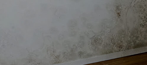 Mold on the wall in a Tampa, FL home