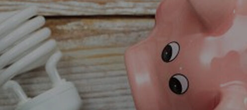 Piggybank next to a lightbulb