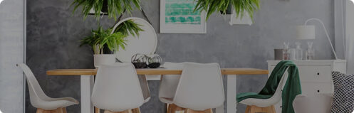 Home dining area with hanging plants in Tampa, FL