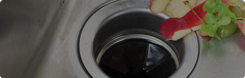 Garbage disposal with fruit skins in the sink