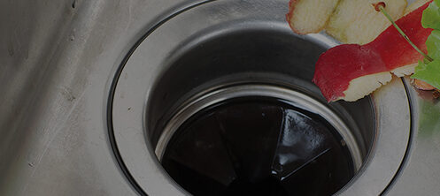 Garbage disposal with fruit skins in the sink