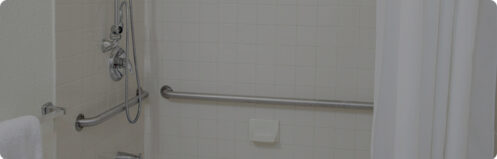 Shower with a shower rod handle